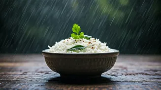 Traditional Curd Rice Meets Monsoon Magic