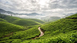 Seven Monsoon Travel Mistakes To Avoid If You Are Heading To The Hills