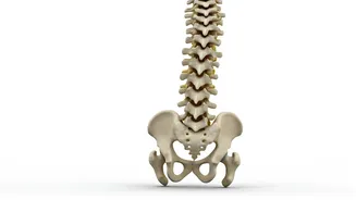 Prevent Back Pain: World Spine Day Focus