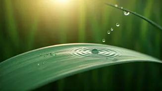 Breathwork Gives Summer Wellness A Quiet Edge