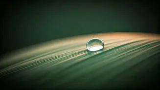 Related Stories banner