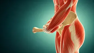 Master Your Aging: 4 Crucial Strategies to Combat Bone & Muscle Loss