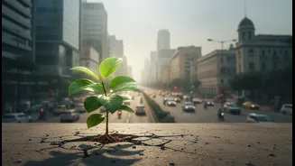 Healthy Living In Urban India shows a gap between healthy intentions and sustainable routines