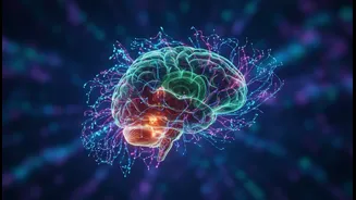 Why movement disorders research shifts focus toward newly discovered cerebellar brain networks