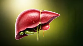 Fatty Liver: What Causes This Disease?