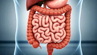 Unlocking Digestive Health: Understanding Gut Transit Time