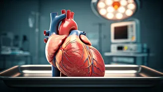 Heart Attack Remedies: Expert Debunks Myths