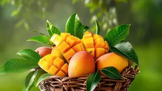 Monsoon Fruit Shopping Guide: Seasonal Choices Worth Considering