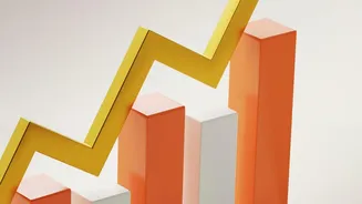 Step Up Mutual Fund Returns How 10 Percent Annual Hikes Double Final Investment Value