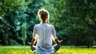 Mindful Meditation Guide How 5-Minute Daily Breathing Routines Clear Mental Fatigue