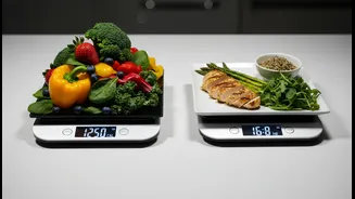 People Comparing Diet Approaches Need Better Information as Intermittent Fasting May Match Calorie Counting for Weight Loss