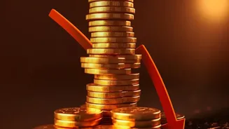 Evaluating Portfolio Turnover Costs Fund Performance History And Fees When Choosing Between Active And Passive Funds