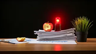 7 Workplace Red Flags: Spotting Trouble Early On!