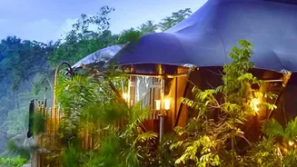 Coorg Coffee Estates Become Go To Monsoon Destination For Slow Travellers Seeking Nature Retreats