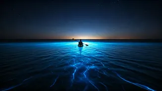 Night Kayaking Gives Andaman Trips A Dreamy Twist