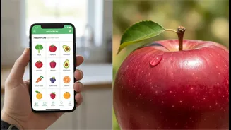 What to Verify before Sharing Claims About Quick-Commerce Grocery Safety