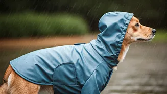 Why Heavy Rains Trigger Custom Dog Raincoat Sales