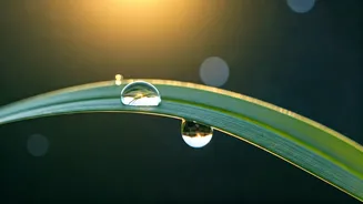 Aries Daily Forecast: March 27, 2026 - Nurturing Connections and Financial Calm