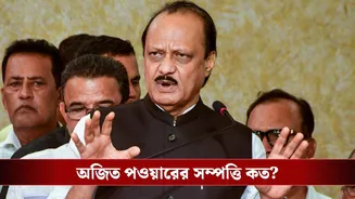 Ajit Pawar’s Net Worth: স্ত্রীর কোটি কোটি টাকার সম্পত্তি, কত টাকার মালিক ছিলেন অজিত?