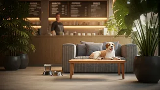 Why Pet-Friendly Cafés Are Becoming Weekend Hotspots