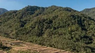 Inner Line Permits enable young travellers to experience sustainable homestays in Ziro