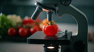 Common Ingredients Are Under The Kitchen Microscope
