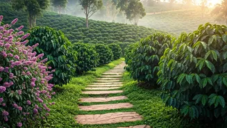 Related Stories banner