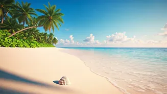 Vietnam Beaches See Record High Last-Minute Flight Booking Trends