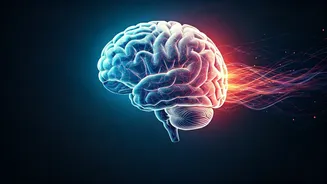 Unlocking Your Brain's Potential: The Psychology of Dance for Mental Wellness