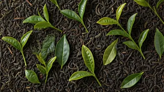 Better Tea Blends Start With Better Sourcing