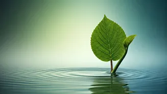 5 Quick Exercises to Instantly Regulate Overwhelming Emotions