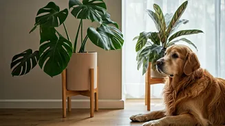 Pet Parents Are Turning Into Plant Safety Experts