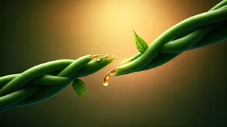 The True Measure of Love: How Couples Repair After Conflict is the Biggest Green Flag