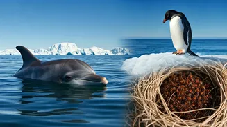 Beyond Deep Slumber: Fascinating Animal Sleep Habits You Won't Believe!