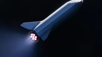 SpaceX's Starship Tower-Catch Strategy: Removing Legs Could Free Payload Capacity