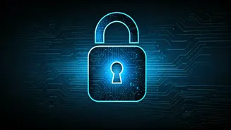 Unlocking Web Access: Understanding and Navigating Security Verifications