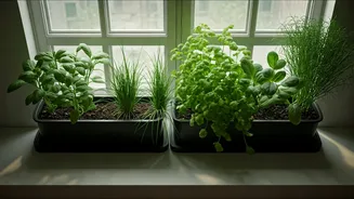 Small Homes Can Still Grow Smart Greens