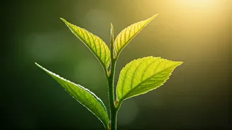 Recharge Your Mind: 5 Quick Breathing Exercises for Instant Focus and Energy