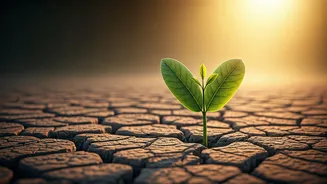 Related Stories banner