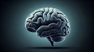 7 Ways Meditation Quietly Rewires Your Brain: A Scientific Exploration