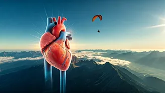 Related Stories banner