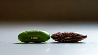 Kidney Health: 4 Foods to Embrace, 4 to Avoid