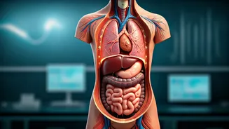 How Metabolic Testing Solves Chronic Unexplained Daily Body Fatigue