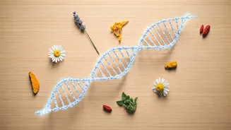 Hormone-Aware Nutrition Is The 2026 Wellness Topic