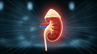 Spotting Silent Kidneys: Early Warning Signs of CKD in India You Must Know