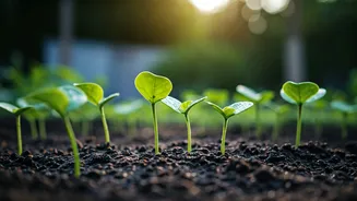 Green Skills Start In Local Communities