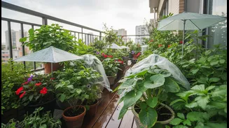 Stop Rainwater From Ruining Balcony Gardens With These Practical Tips