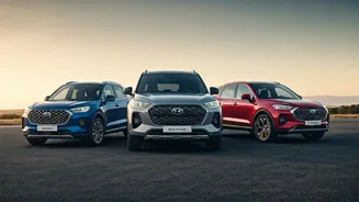 Related Stories banner