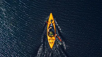 How Zone 2 Rowing Sessions Deliver Maximum Heart Benefits With Minimal Recovery Time