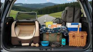Pet Travel Gets Easier When Walks And Toilet Breaks Are Planned